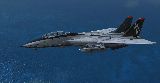 Tomcat photo 17118