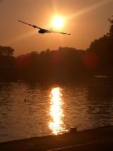 Glider In the Sunset photo 11111