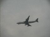 Air France as seen out of my Skylight Window! photo 11846