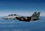 Tomcat photo 7050